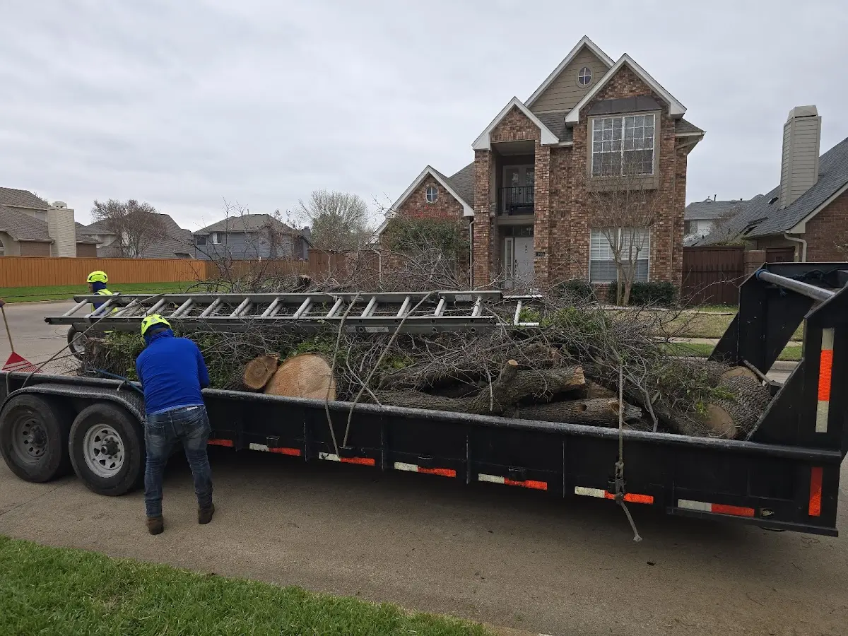 Expert Tree Fertilization with proper safety equipment in Phillips